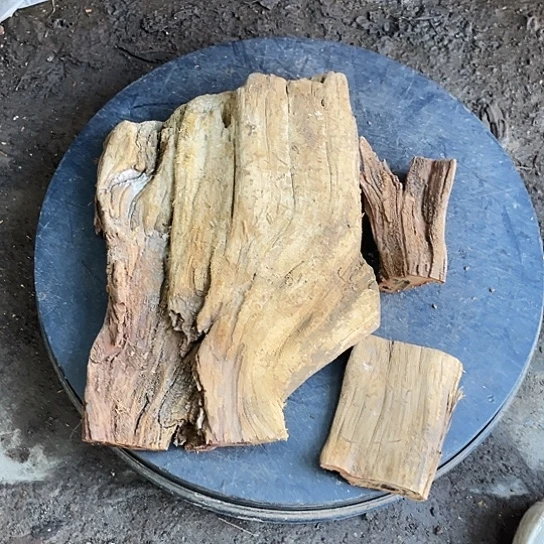 *****香榧木崖柏崖柏崖柏崖柏