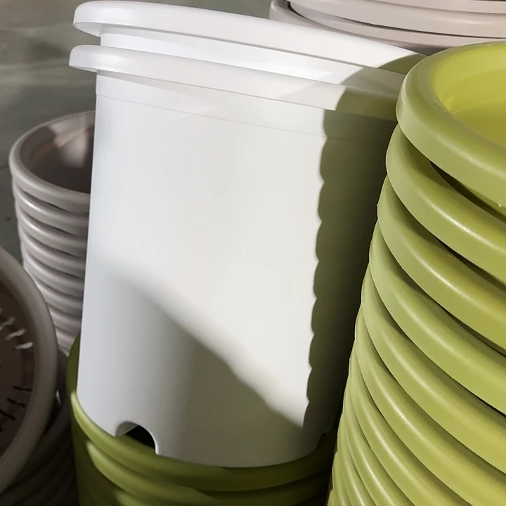 四季8#口径39白色3个无托