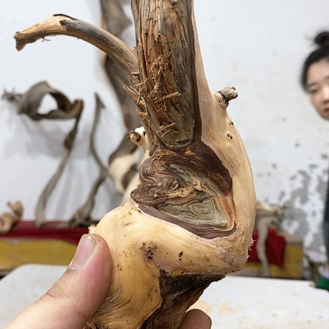 【闪购商品】柏木蚊*我们都是好孩子