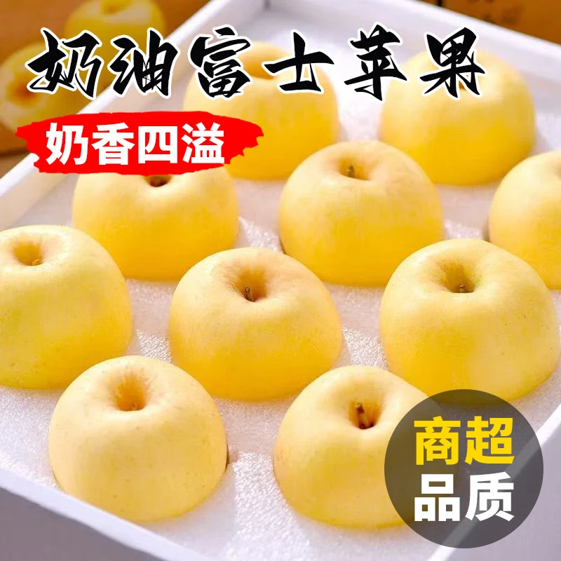 正宗烟台黄金奶油富士苹果脆甜多汁新鲜当季应季水果2025年新果