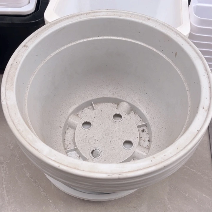 花开富贵口23高15一组4个带托盘