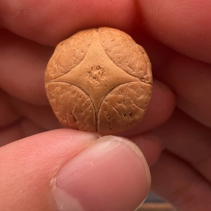 精***达凤眼菩提吊坠18➕精品麒麟