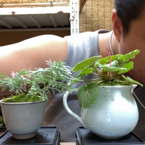 红陶好*好一物一拍所见即所得233