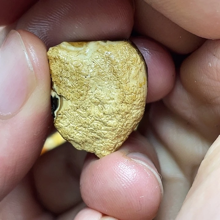 定制琥珀未镶嵌定制