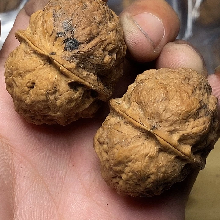 文玩核桃把件云南铁核桃A64