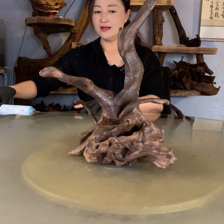天***）天然的云南紫柚木会黄水