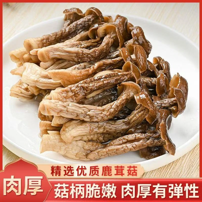 拍1发4 精选鹿茸菇干货鹿茸菇无硫菌菇古田特产净重煲汤好食材
