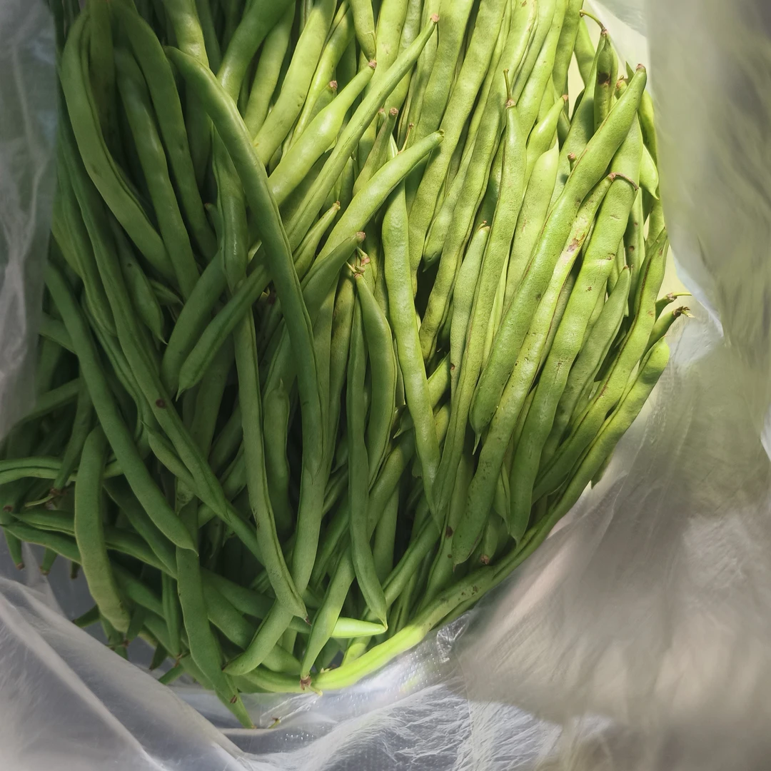 【小飞山货】云南中缅边境农家四季豆