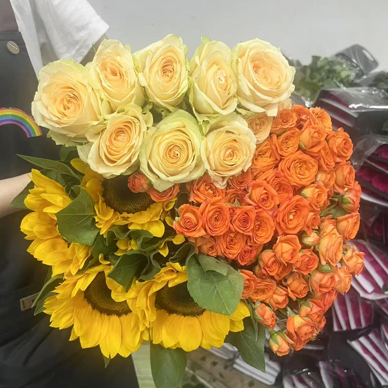 【玫瑰组合】单头玫瑰新鲜鲜花花束云南鲜花基地直发适合客厅装饰