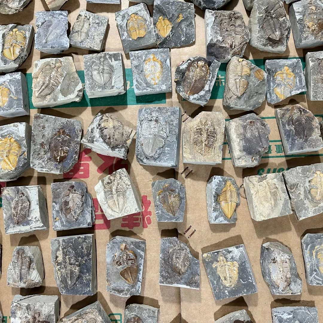 666430330|王精美摆件创意礼物家居配饰新年礼物个人收藏