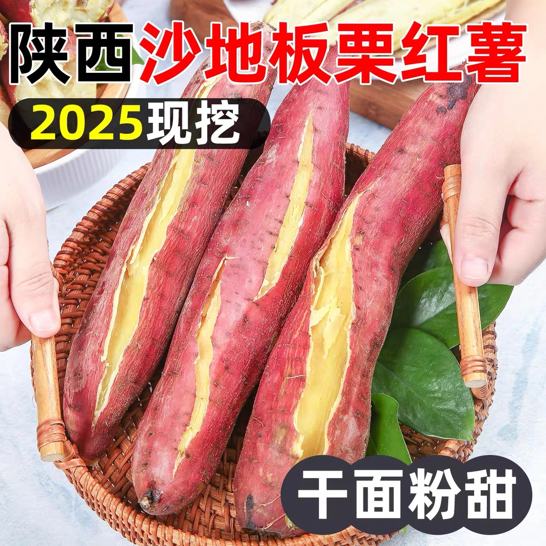 现挖沙地板栗红薯新鲜农家自种小香薯干粉面甜皮薄无丝
