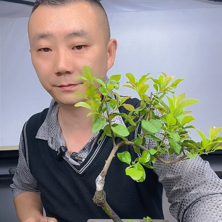 斌*中国红福利小品