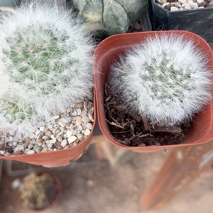 空***白零零落落零零落落了