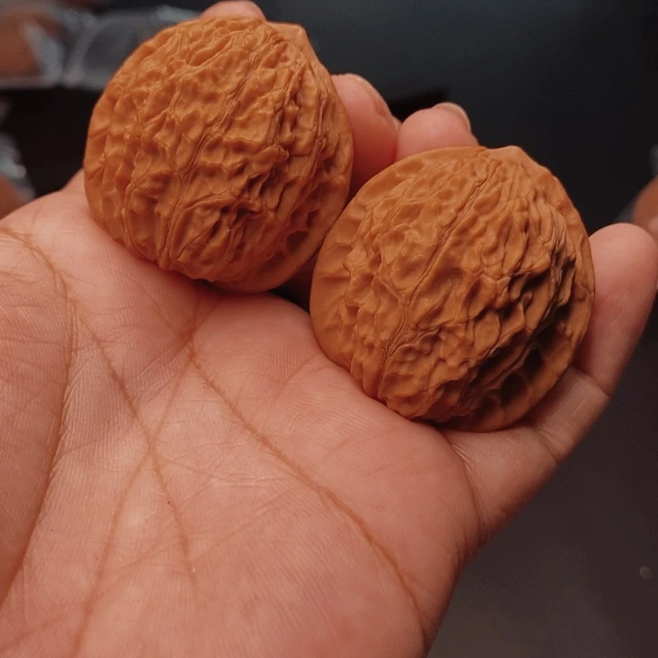 核桃金牛37尺核桃