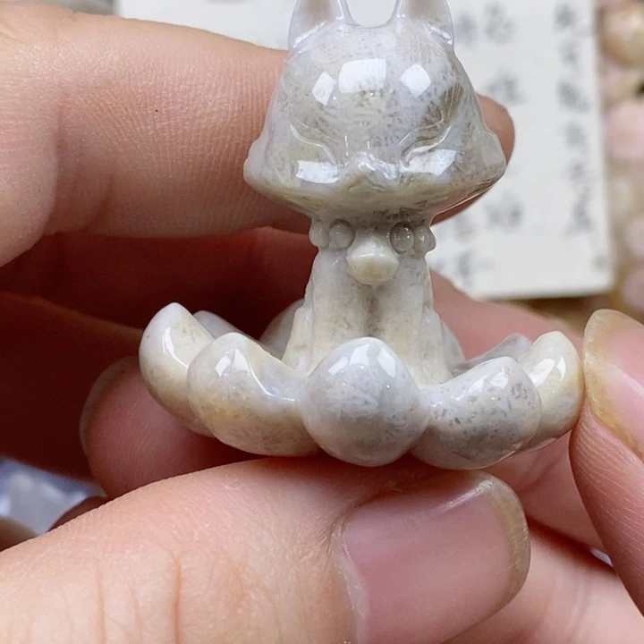 颈饰未镶嵌硅化珊瑚（珊瑚玉）