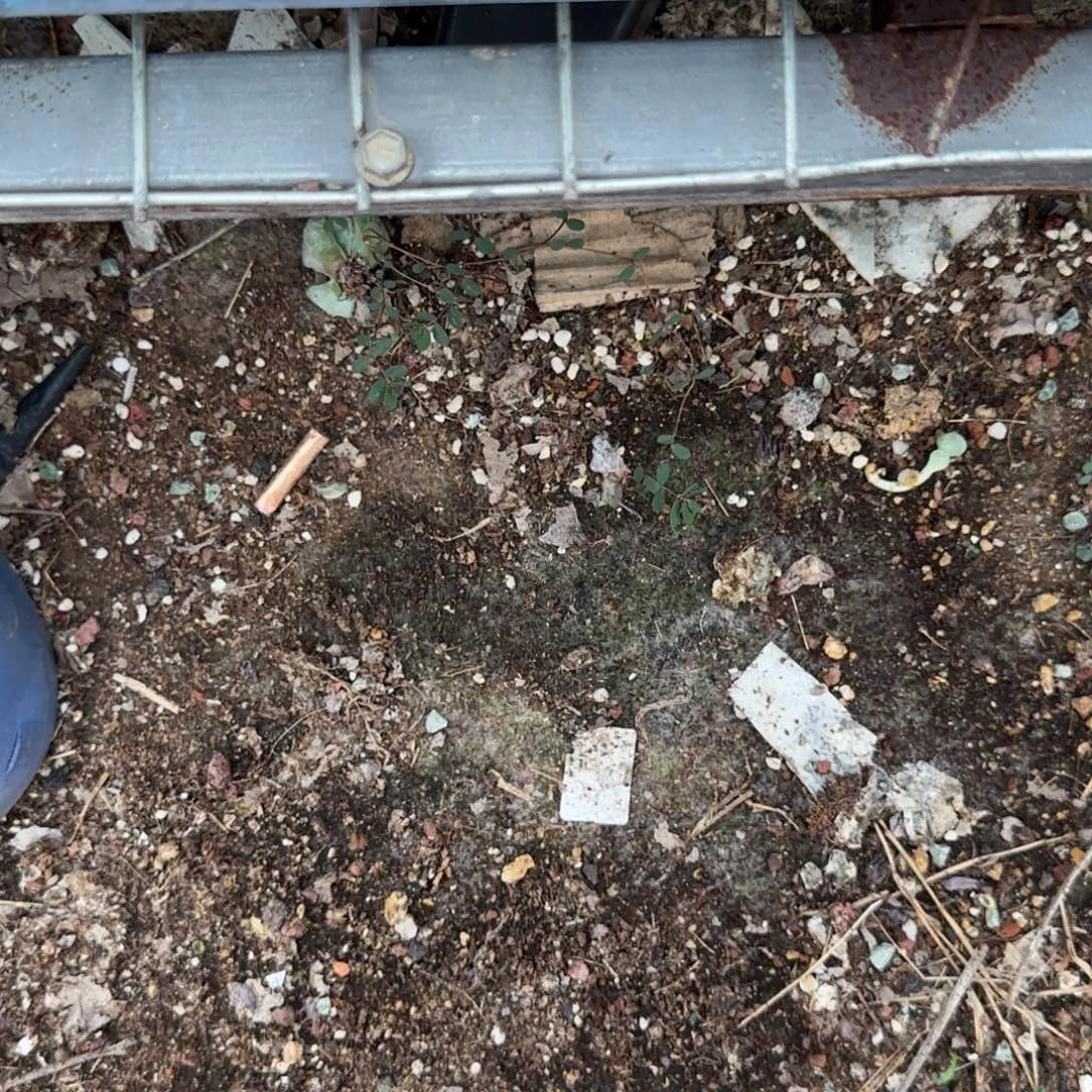 哎***哟小卡拉米糖心一物一拍