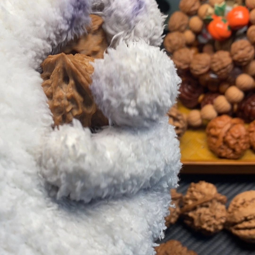 安***E秦岭森林中发现过几株