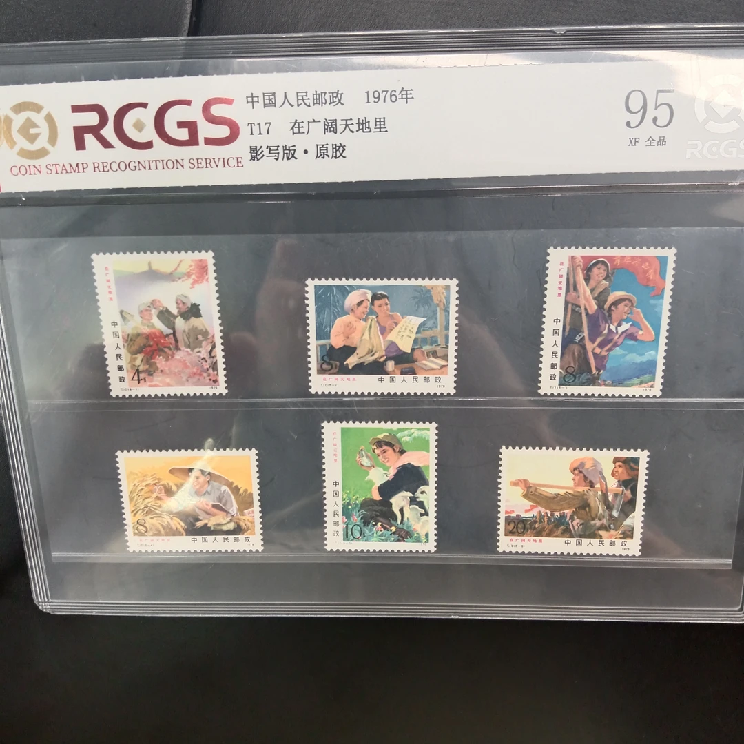 T17在广阔天地里邮票95原胶全品1976年发行