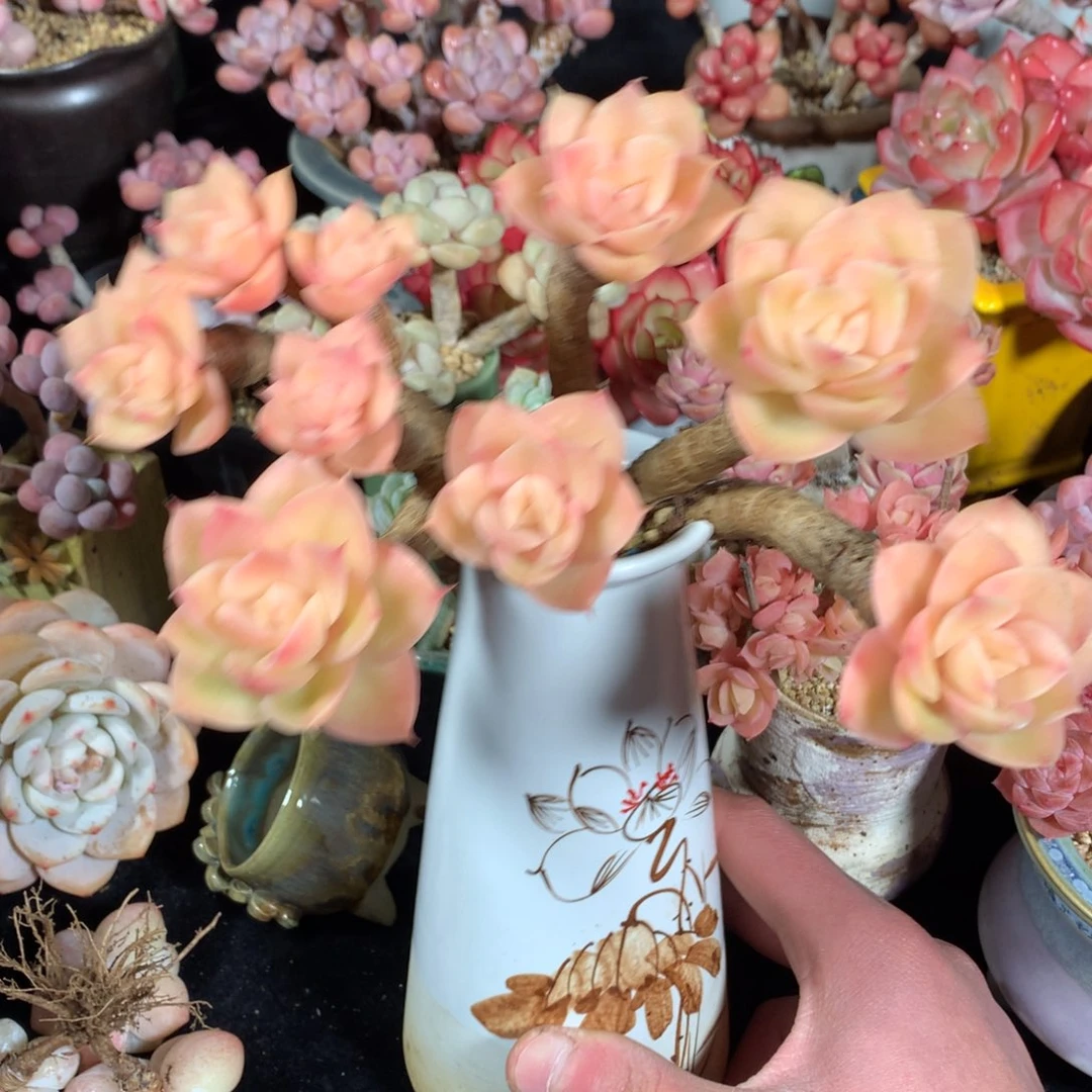 棒***！完全开放我现在是真没有啊是吧