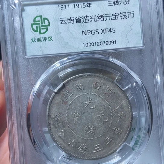 银半圆龙银币。