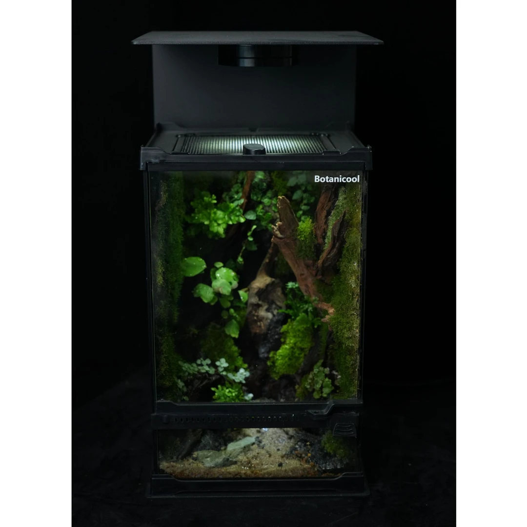 BOTANICOOL雨林缸生态缸造景成品室内桌面苔藓微景观绿植20*20*32