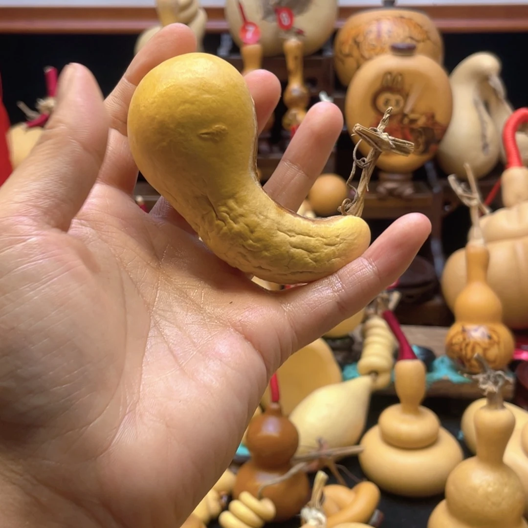 忘*大自然的秘密是什么呢这