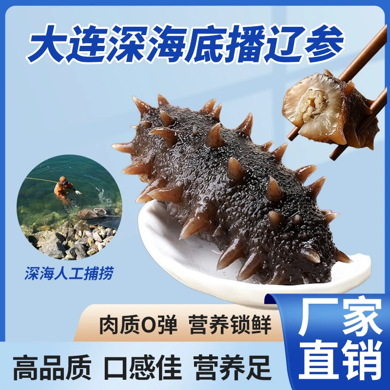 大连辽参即食海参6-10头/斤 Q弹口感 工厂直发