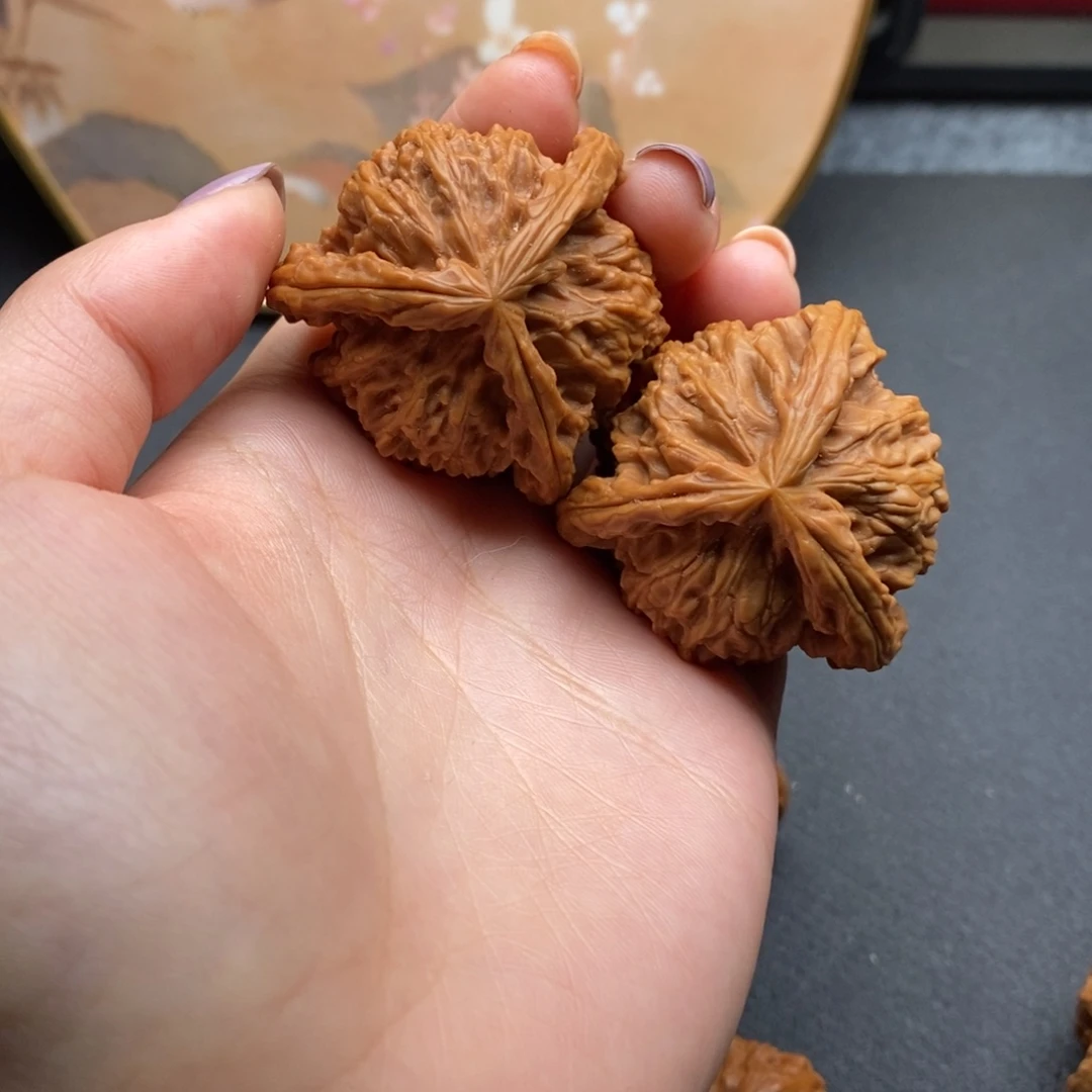 榴*白狮子11111111111