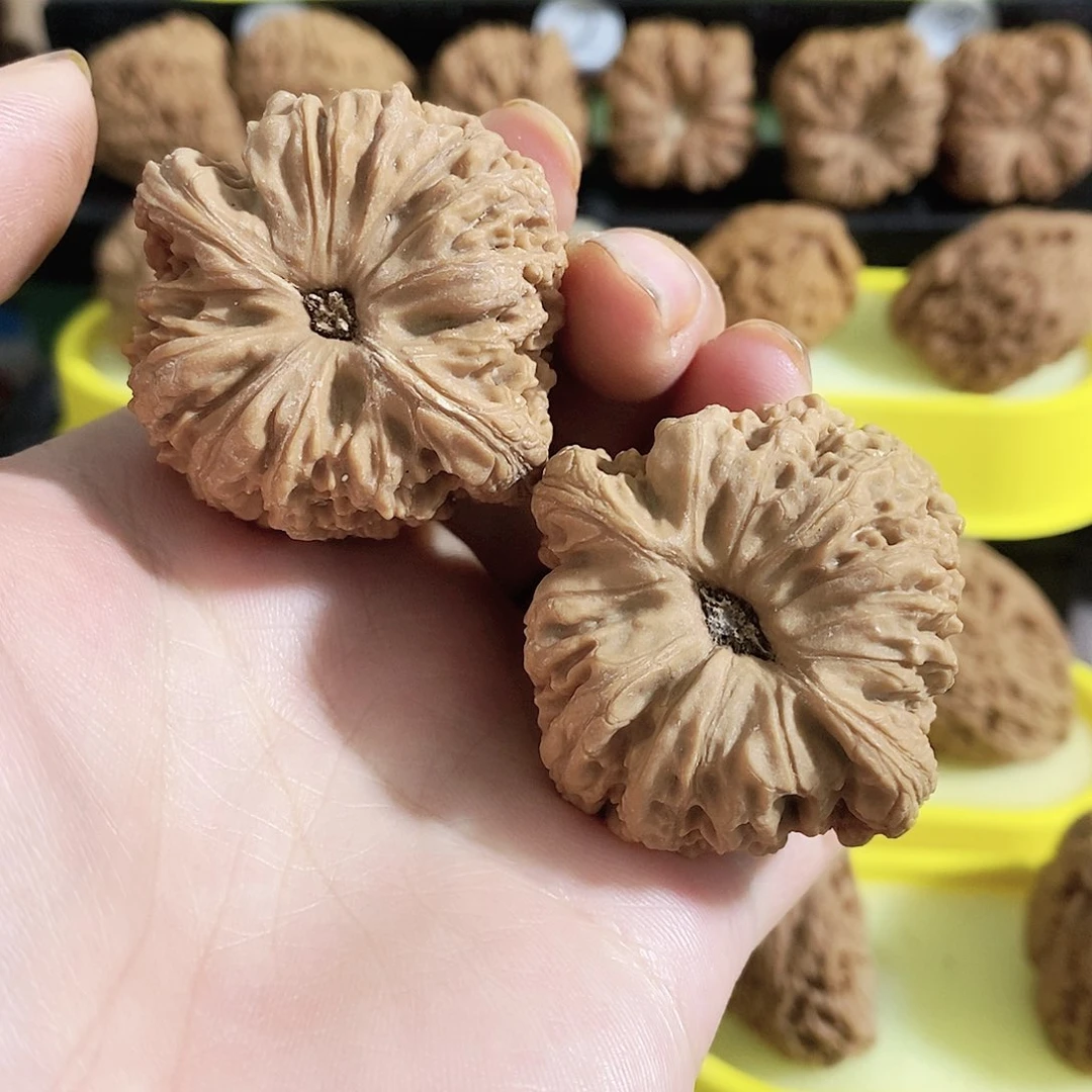 木质类今天是不是又