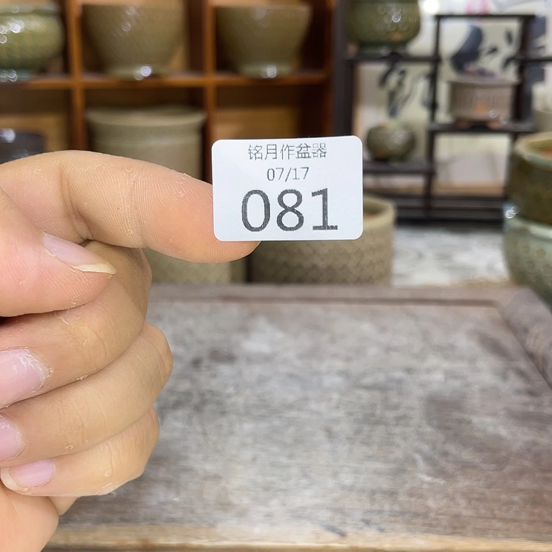 景德镇陶瓷 081 素盆随机