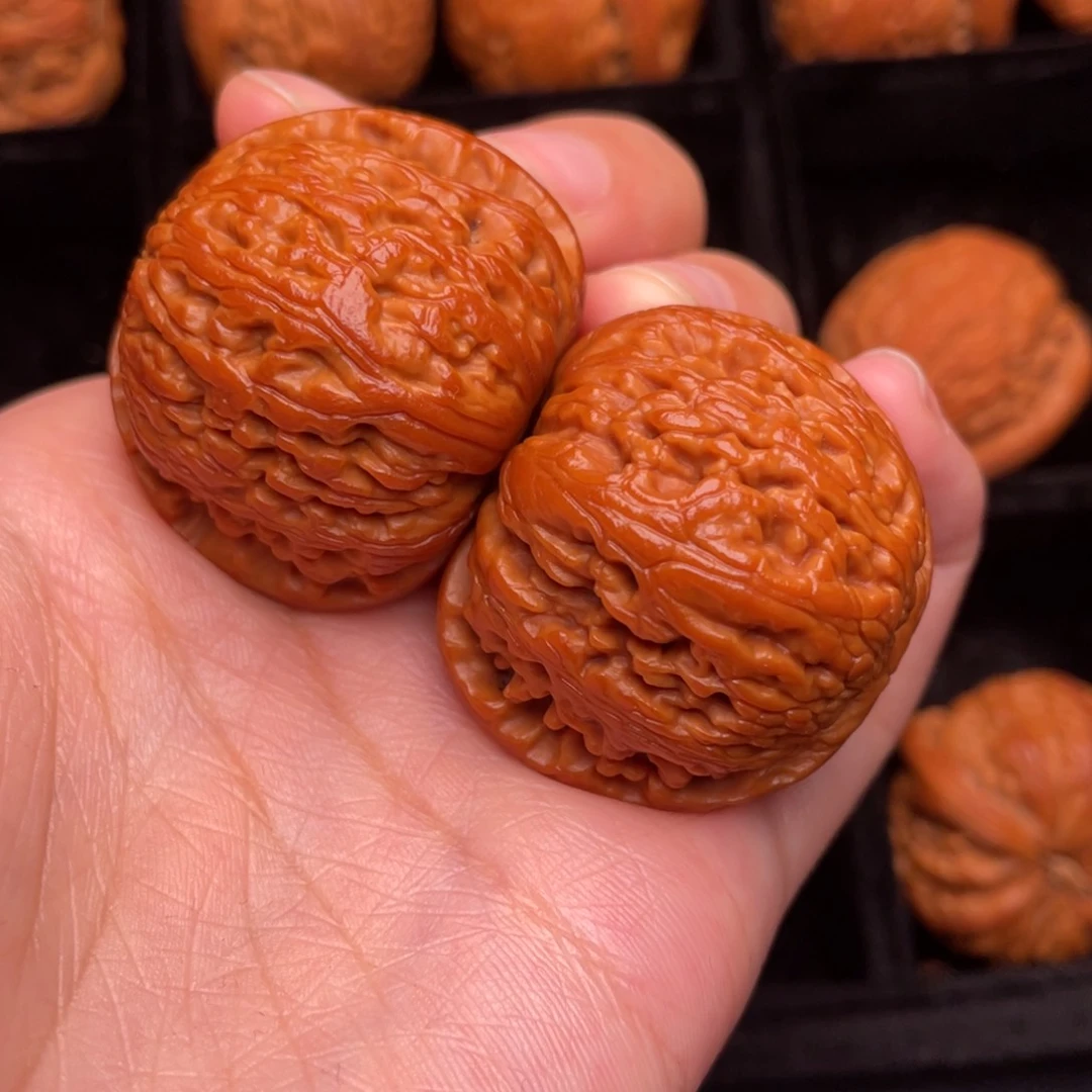 秦岭野生核桃文玩