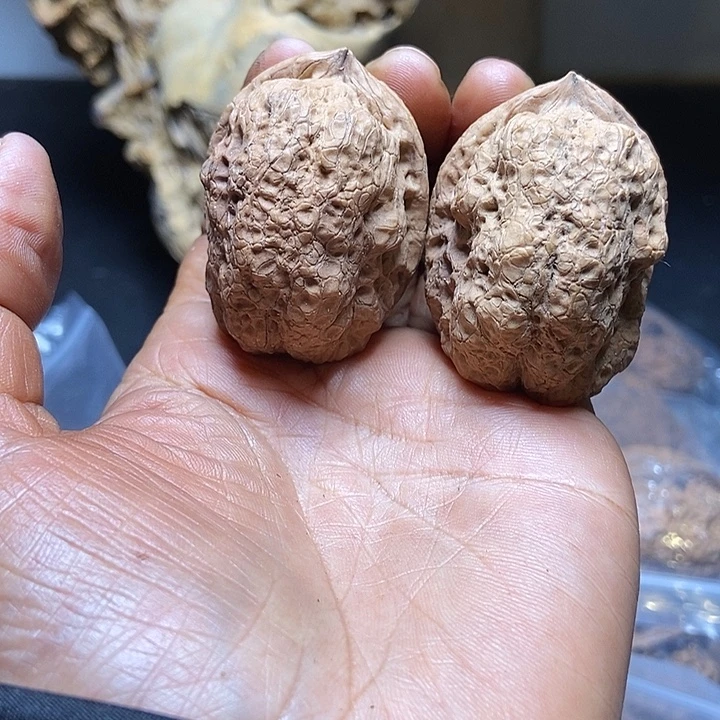 把件文玩核桃云南铁核桃基地74