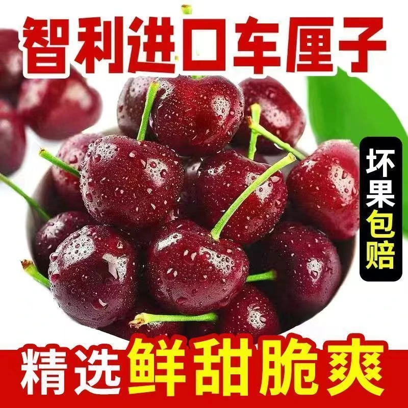 JG3【D黑车红棕果王】智利进口海运车厘子包装随机内附果径卡车厘子5斤桑缇娜1j2J3j拉宾斯樱桃智利共和国