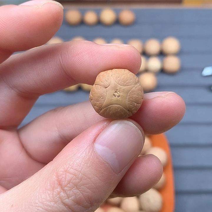 吊坠凤眼菩提18+五星，非质量问题开孔不退