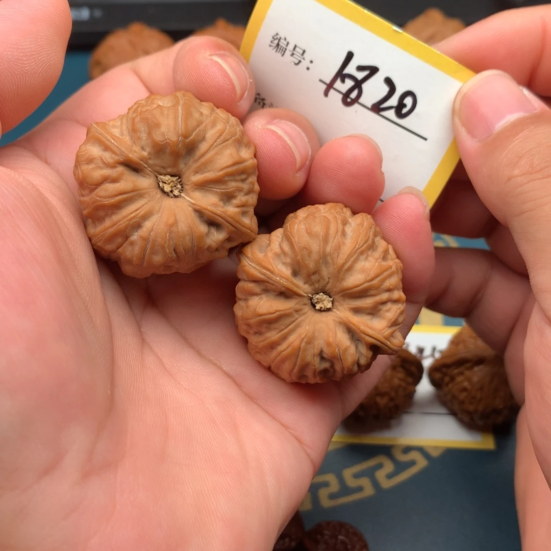 把件文玩核桃37全品玄龙凹底1820