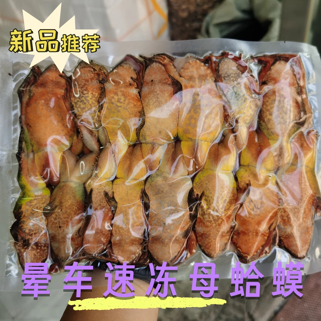 黄肚晕车母蛤蟆速冻发货