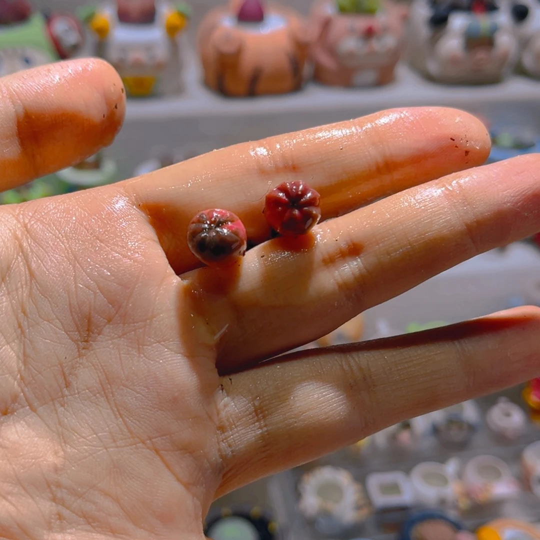 @*文宝专属折扣链接拍拍