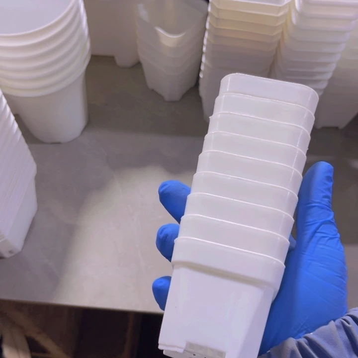 白方口5高5一组30个