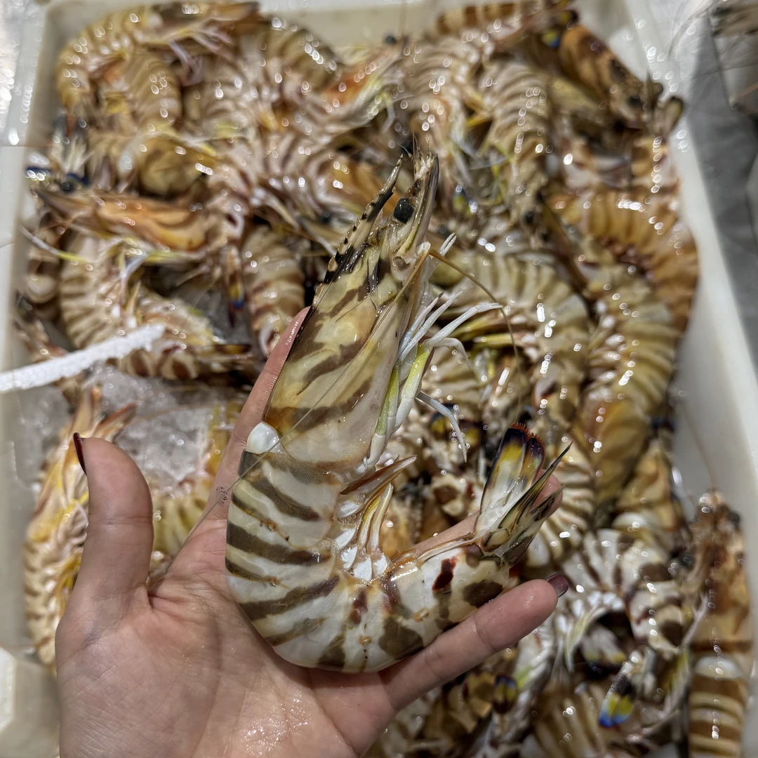 野生斑节虾一斤7只左右