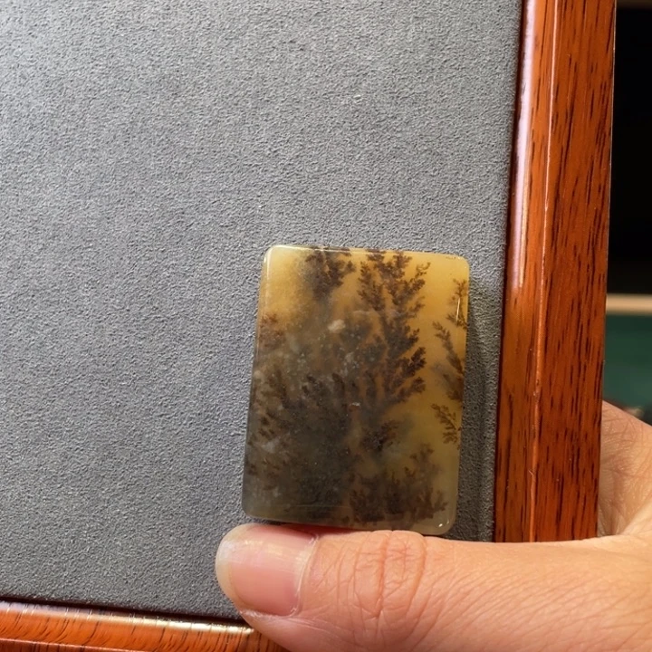 石英质玉（黄龙玉）未镶嵌颈饰