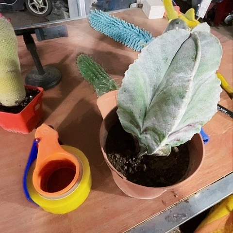 啊啊啊啊啊啊啊啊