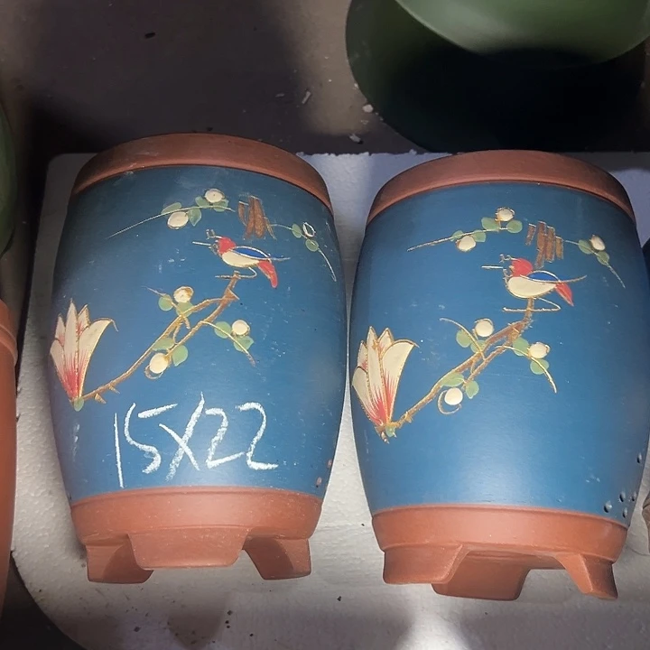 周深周深周深周深
