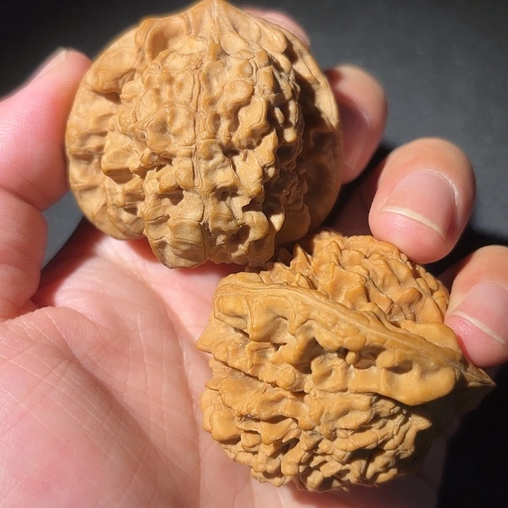 龙鼎核桃50尺寸的