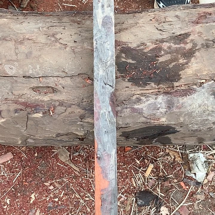 染料紫檀（血檀）?****?552