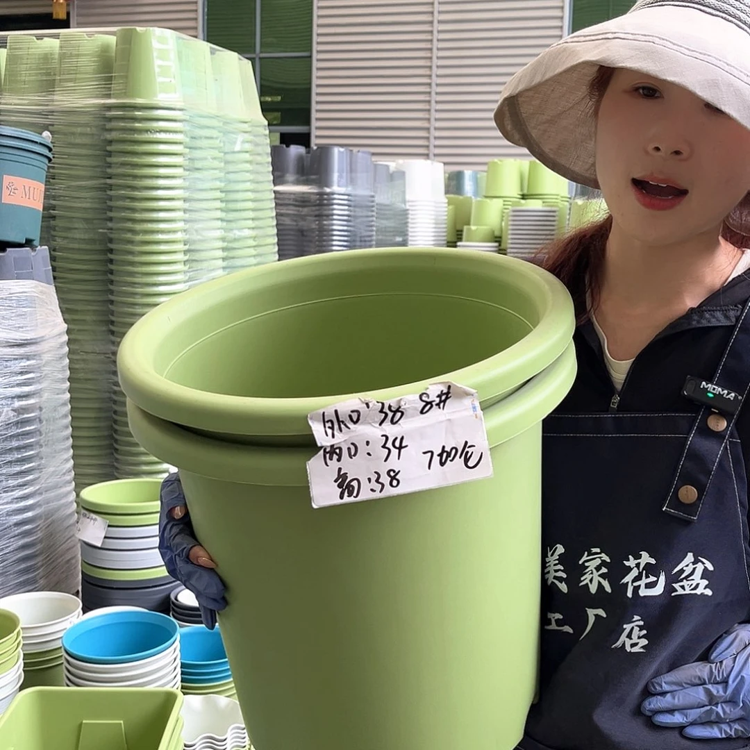 四季盆8#果绿色5个无托