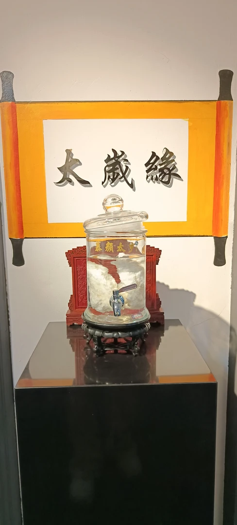 千万太岁摆件（一物一拍）