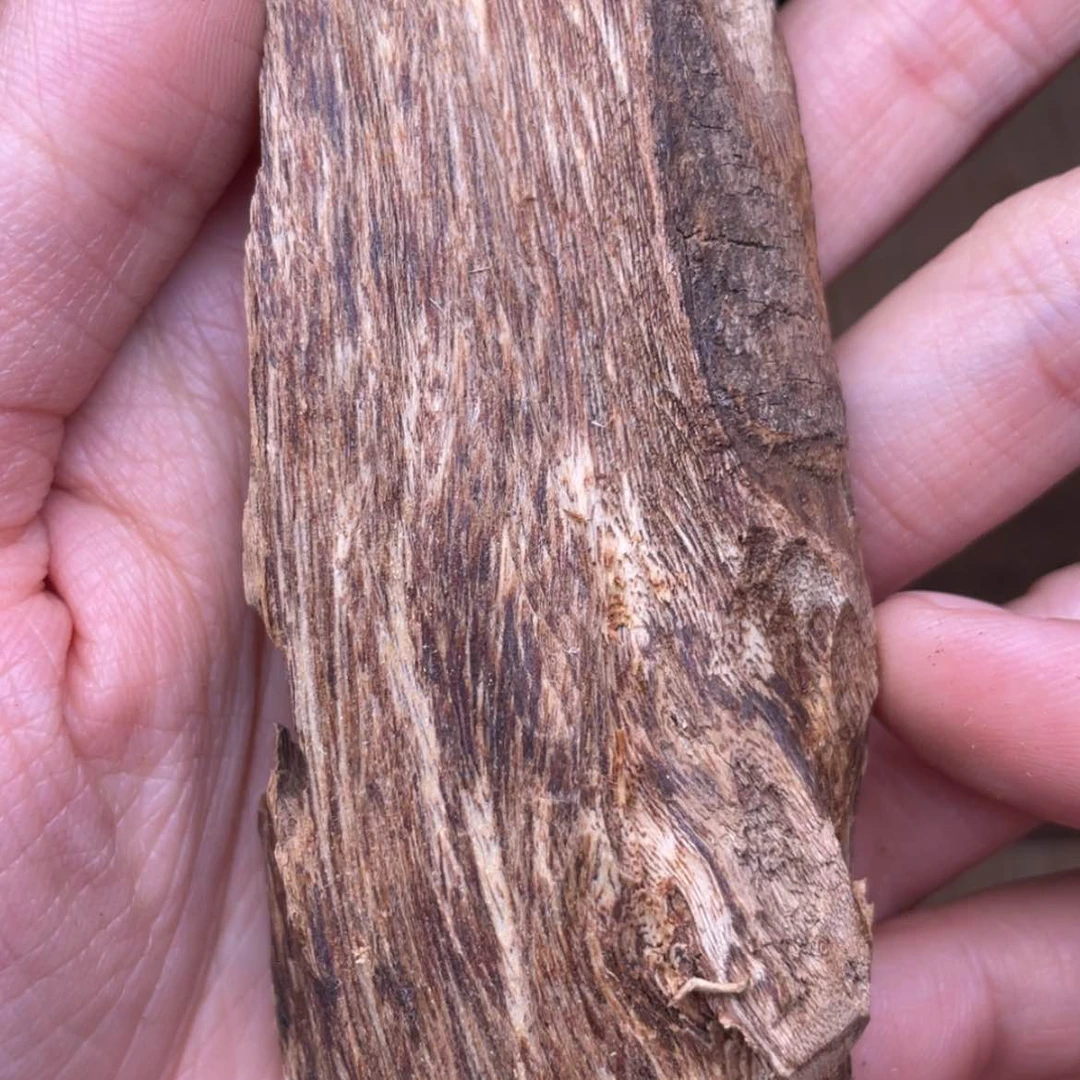 【闪购商品】香榧木杨***着海南大山24.4克