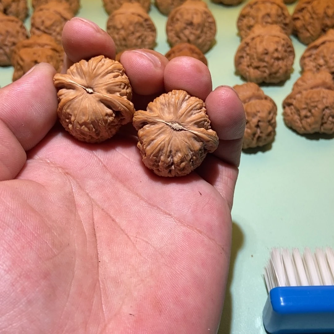 核桃手串/手链?狮子头33