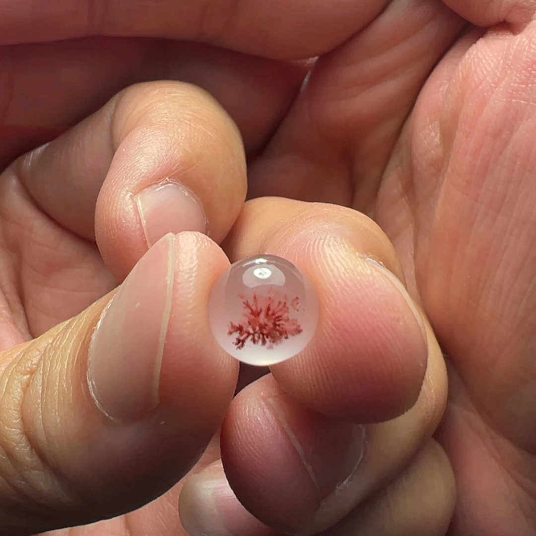 南红玛瑙未镶嵌颈饰