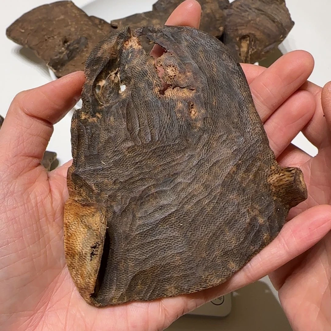 沉香沉香碎屑海南包头12.1克